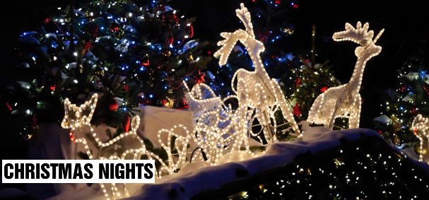 Christmas Nights